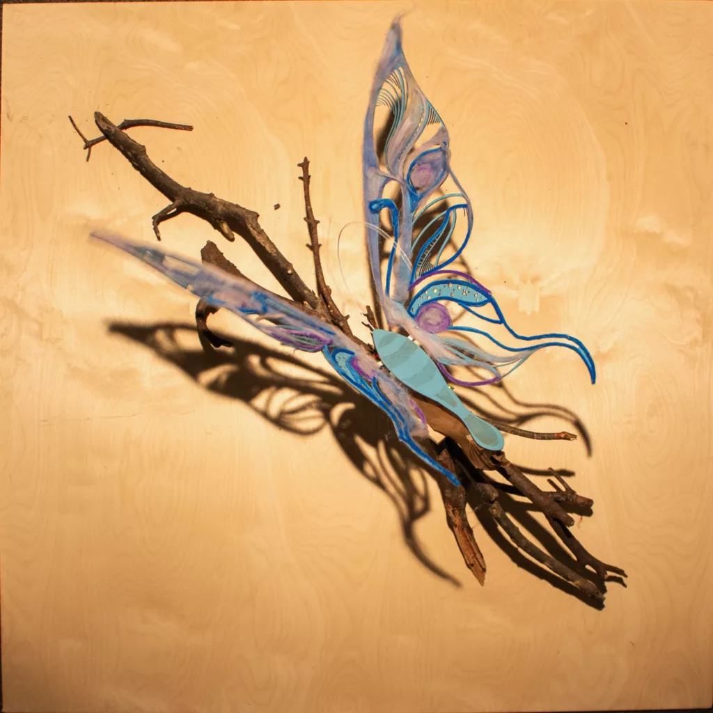 Play Safari Flutter High